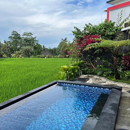 Maple Ridge Ubud Villas Exteriér fotografie