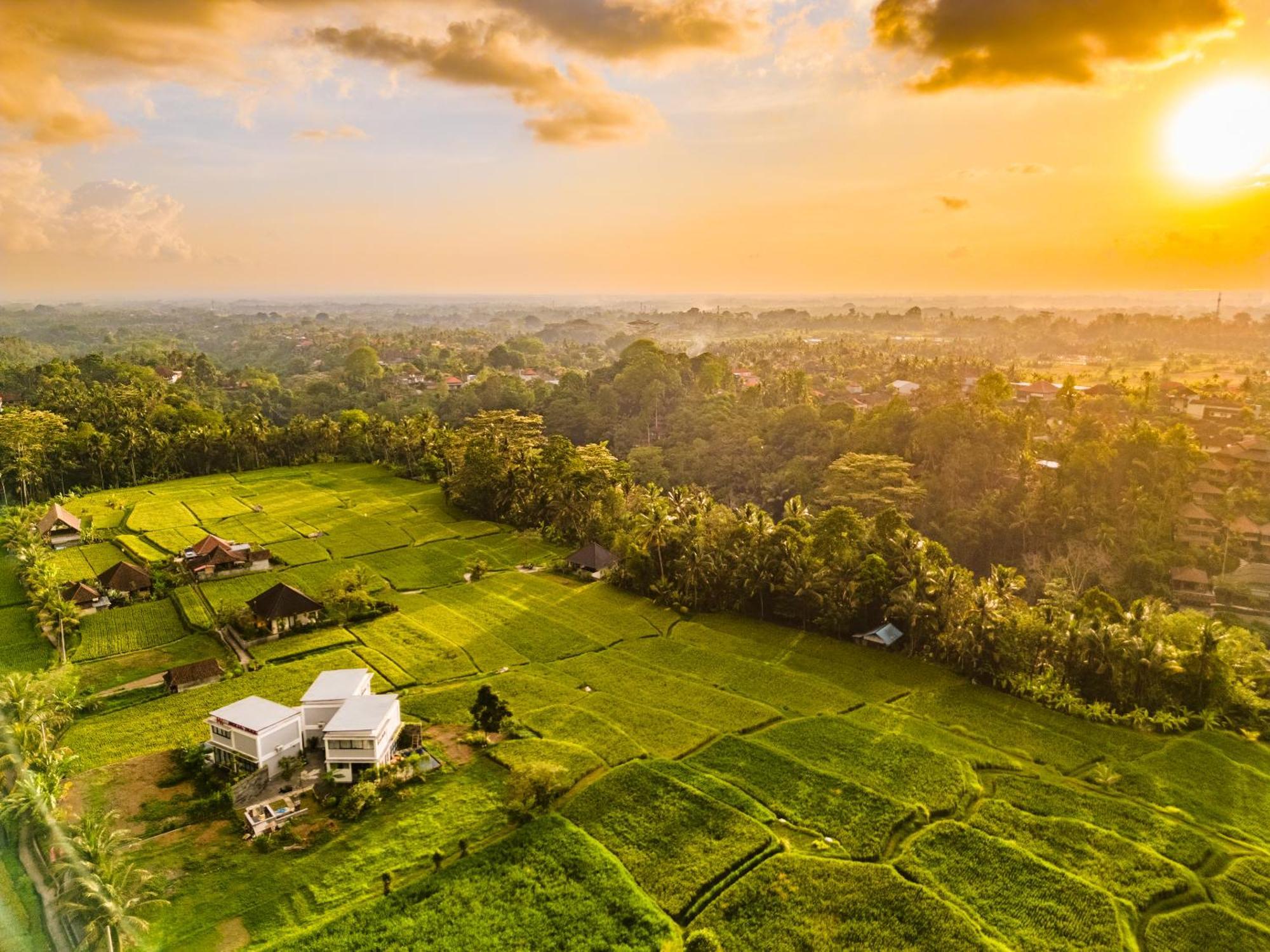 Maple Ridge Ubud Villas Exteriér fotografie
