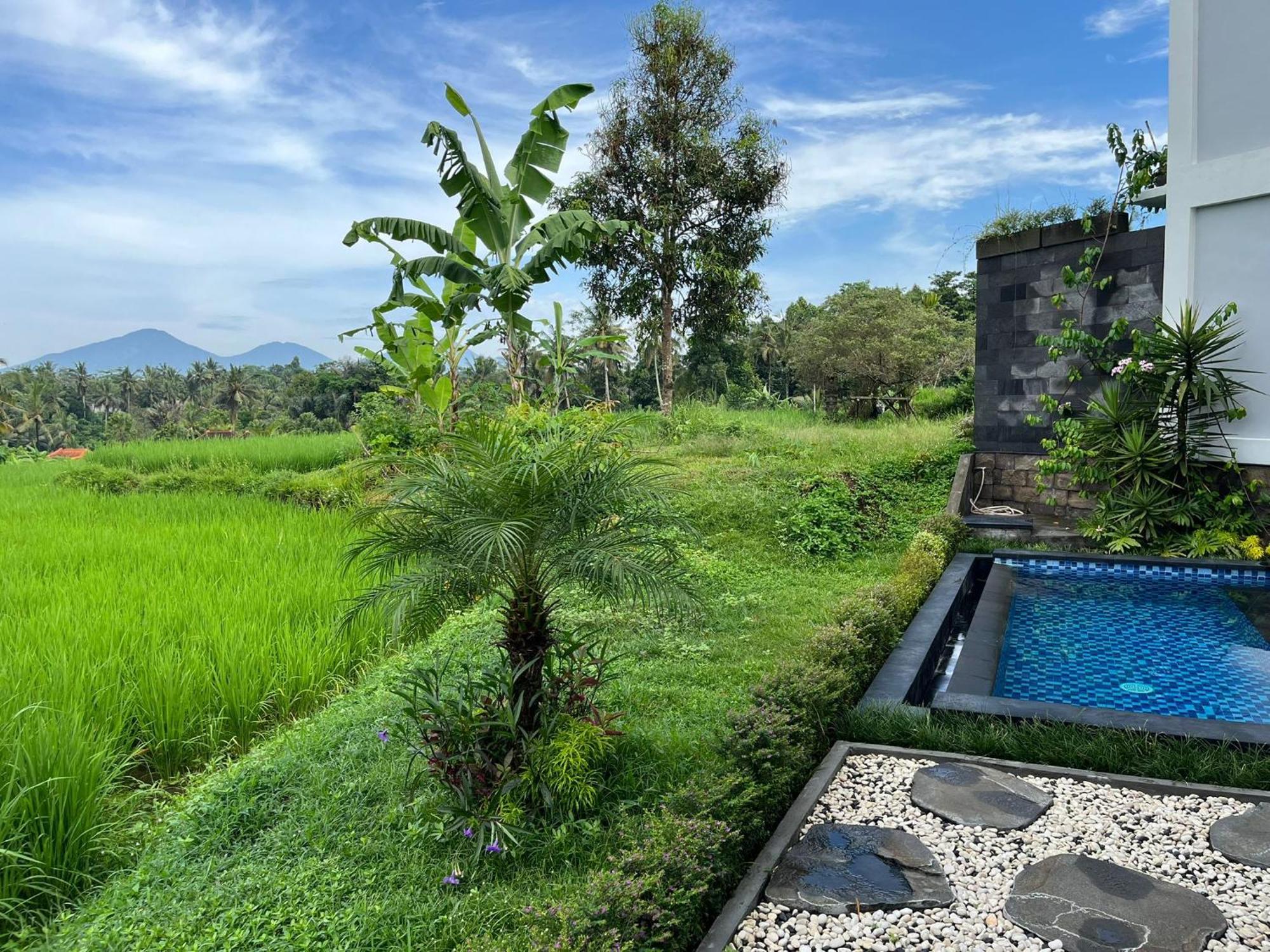 Maple Ridge Ubud Villas Exteriér fotografie