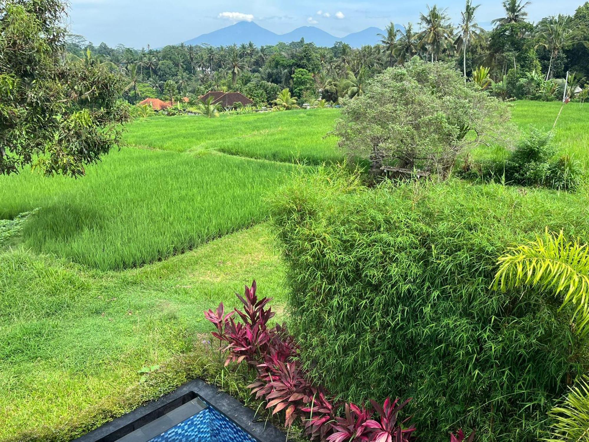 Maple Ridge Ubud Villas Exteriér fotografie