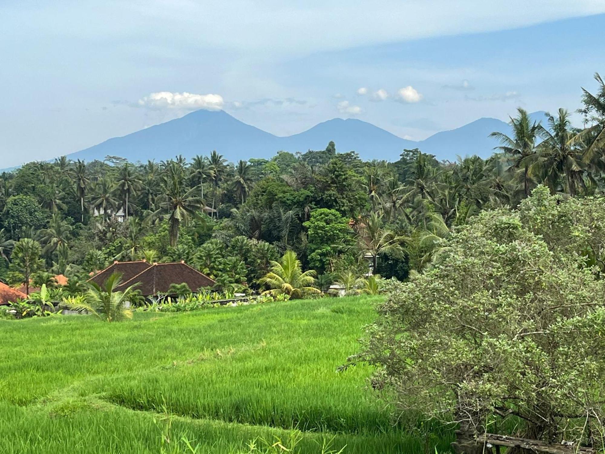 Maple Ridge Ubud Villas Exteriér fotografie